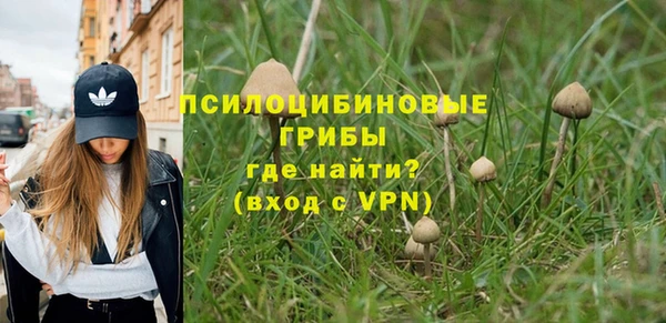 apvp Медвежьегорск