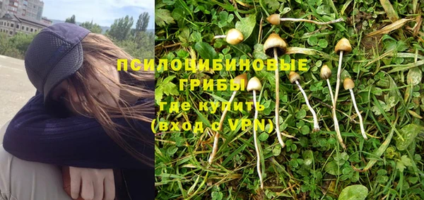 гидропоника Мегион